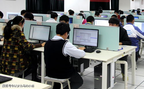 計算機技術開發 理科男生的黃金賽道，就業率高前景廣闊